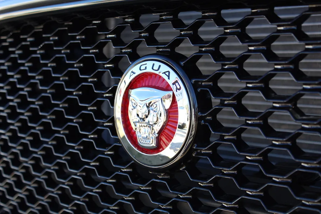 IMG_8766 Villas For Rent In Marbella For Events